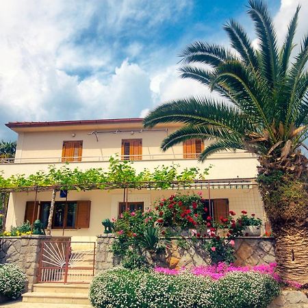 Apartments Katarina Porat Malinska Bagian luar foto